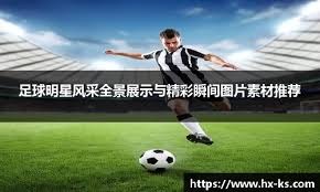 肋的